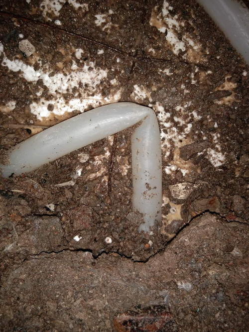 佳县堵点精准查找